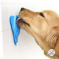 Eco Pet Supply Slow-Eat Dog Bowl