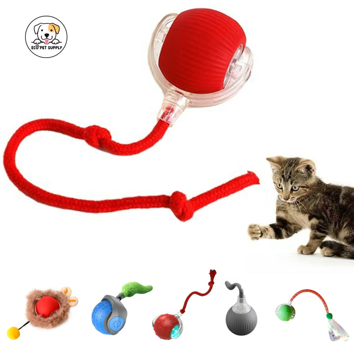 Eco Pet Supply Electric Roiling Cat Toy