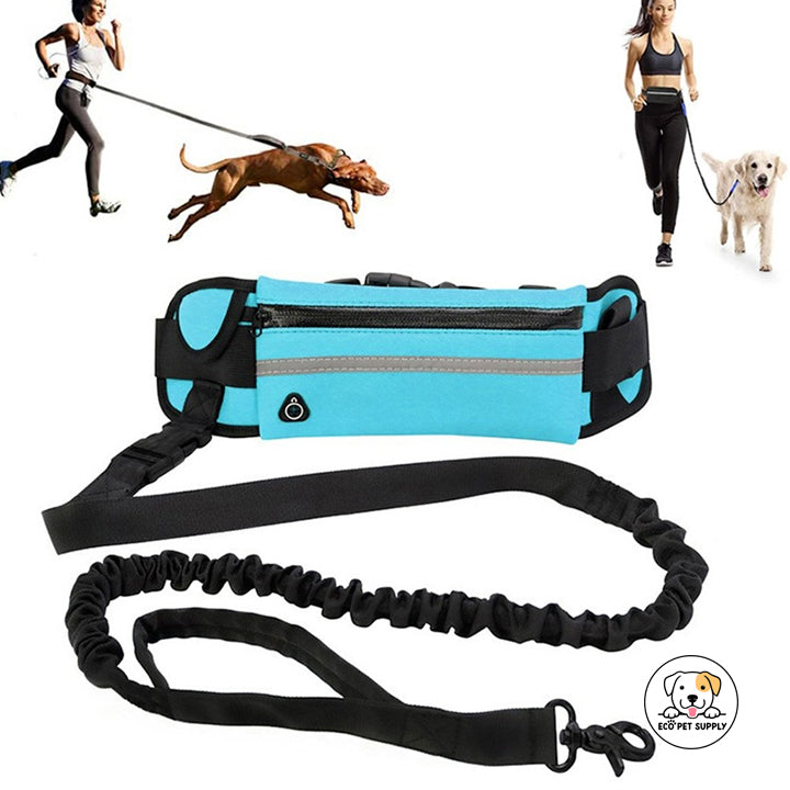 Eco Pet Supply Hands-Free Dog Leash for Running – Adjustable Reflective Waist Belt with Bungee Cord for Jogging, Hiking, and Walking