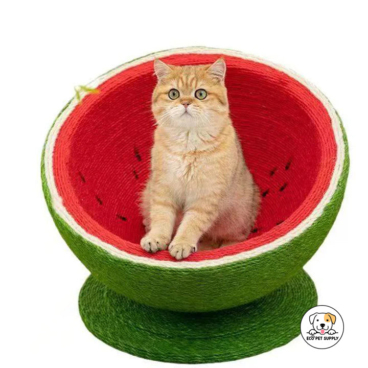 Eco Pet Supply Watermelon Natural Sisal Cat Scratcher Bed