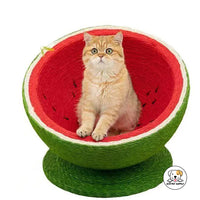 Eco Pet Supply Watermelon Natural Sisal Cat Scratcher Bed