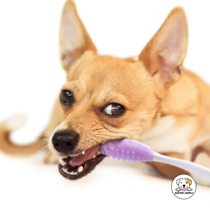 Eco Pet Supply Soft Bristle Toothbrush Home Use Sakura for Sensitive Gums Care