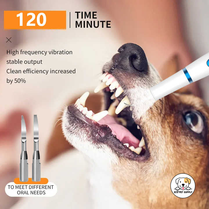 Eco Pet Supply Ultrasonic Dog Teeth Cleaning Kit – Professional Dental Care Tool for Dogs and Cats – Plaque and Tartar Remover with LED Light