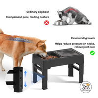 Eco Pet Supply Stainless Steel Portable Raised Pet Bowl