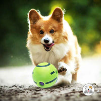 Eco Pet Supply Interactive Smart Green