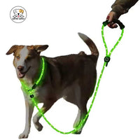 Eco Pet Supply Ultra-Bright LED Retractable Dog Leash – Walk Safely Day & Night with Comfort Grip!