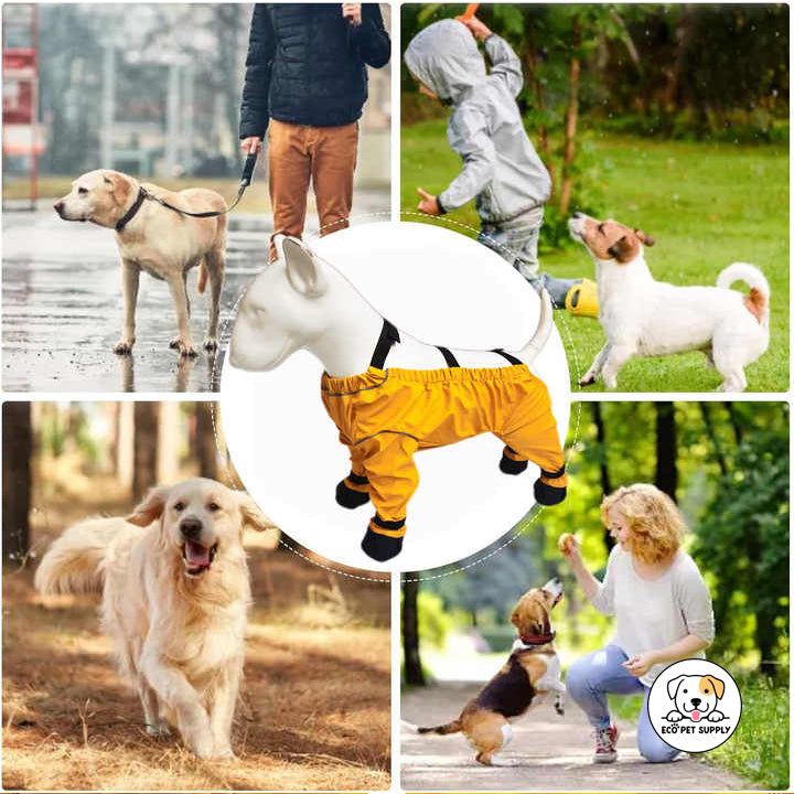 Eco Pet Supply Pet Shoes Jumpers