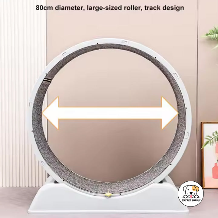 Eco Pet Supply Cat Sport Track Toy