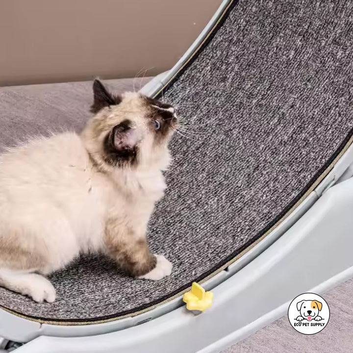 Eco Pet Supply Cat Sport Track Toy