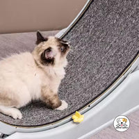 Eco Pet Supply Cat Sport Track Toy