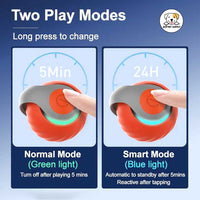 Eco Pet Supply Automatic Moving Ball Puzzle