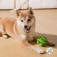 Eco Pet Supply Interactive Smart Green