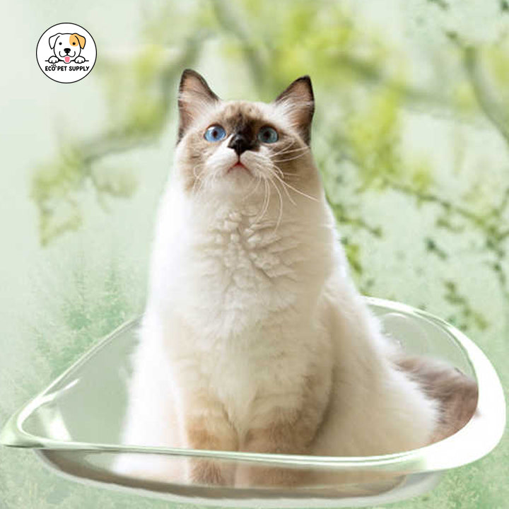 Eco Pet Supply Suspended Cat Hammock – Summer Window-Mounted Cat Bed with Strong Glass Suction Cups, Breathable Fabric, and Elevated Design for Indoor Cats