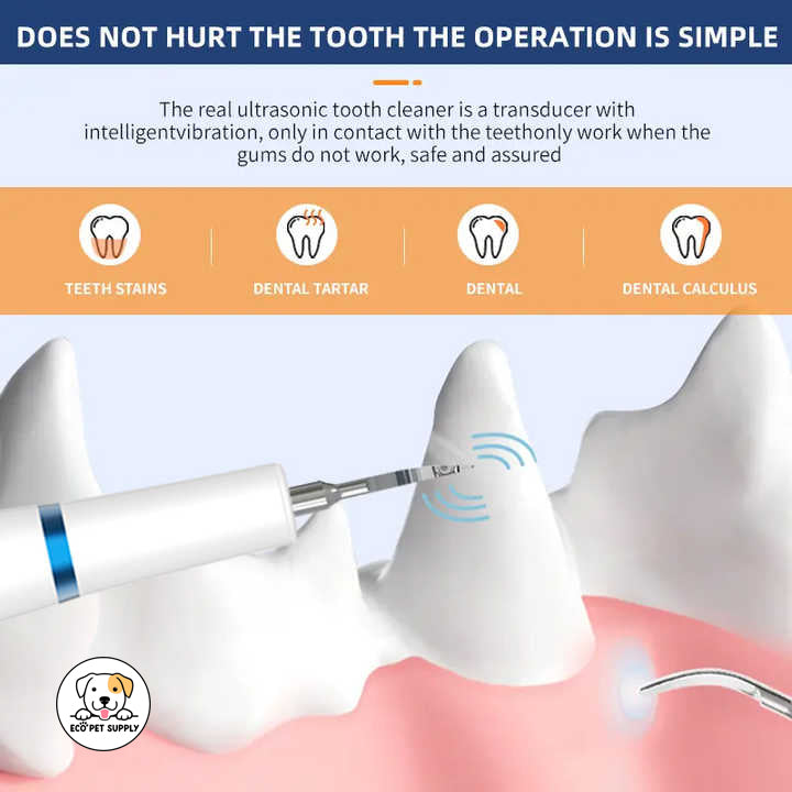 Eco Pet Supply Ultrasonic Dog Teeth Cleaning Kit – Professional Dental Care Tool for Dogs and Cats – Plaque and Tartar Remover with LED Light