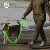 Eco Pet Supply Ultra-Bright LED Retractable Dog Leash – Walk Safely Day & Night with Comfort Grip!