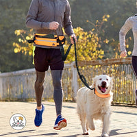 Eco Pet Supply Hands-Free Dog Leash for Running – Adjustable Reflective Waist Belt with Bungee Cord for Jogging, Hiking, and Walking