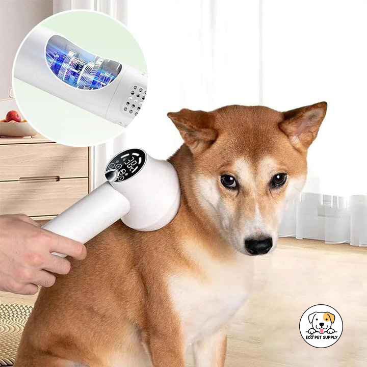 Eco Pet Supply Design Lightweight Portable LED Smart Quiet Pet Comb Handheld Blow Comb Pet Comb Cat Dog Two-in-one Grooming Supplies