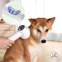 Eco Pet Supply Design Lightweight Portable LED Smart Quiet Pet Comb Handheld Blow Comb Pet Comb Cat Dog Two-in-one Grooming Supplies