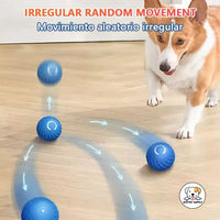 Eco Pet Supply Smart Motion Dog Toy Ball