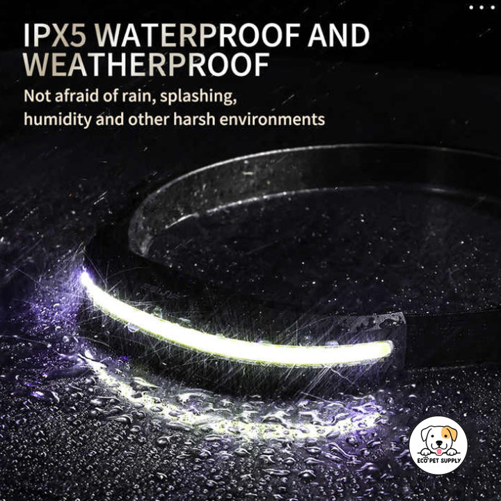 Eco Pet Supply 400-Lumen USB Rechargeable LED Headlamp