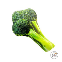 Eco Pet Supply Plush‑Simulation Oxford Training Dummy