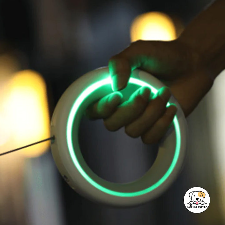 Eco Pet Supply  Dog Leads Rope Smart Adjustable Leash LED light