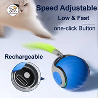 Eco Pet Supply Automatic Moving Ball Puzzle