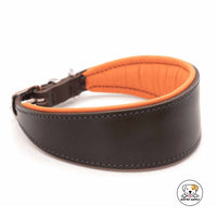 Eco Pet Supply Vegan Leather Genuine Leather Dog Collar With Comfort Lining