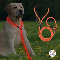 Eco Pet Supply Ultra-Bright LED Retractable Dog Leash – Walk Safely Day & Night with Comfort Grip!