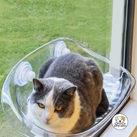 Eco Pet Supply Suspended Cat Hammock – Summer Window-Mounted Cat Bed with Strong Glass Suction Cups, Breathable Fabric, and Elevated Design for Indoor Cats