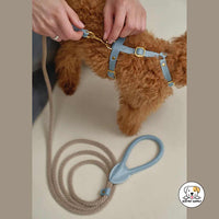 Eco Pet Supply Adjustable Customized Cowhide Dog Collar