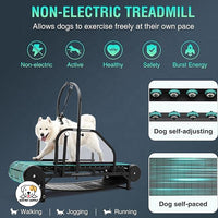 Eco Pet Supply Pet Dog Treadmill