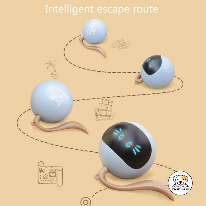 Eco Pet Supply Interactive Self-Rotating Ball