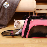Eco Pet Supply Foldable Pet Carrier Bag