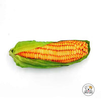 Eco Pet Supply Plush‑Simulation Oxford Training Dummy