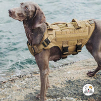 Eco Pet Supply Heavy-Duty Tactical Dog Harness