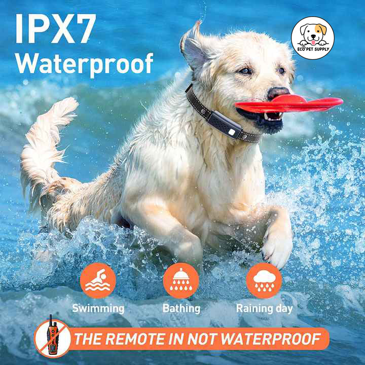 Eco Pet Supply 6000 FT 2-Pack Electric Training Collar