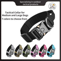 Eco Pet Supply Buckles Stylish Dog Collar
