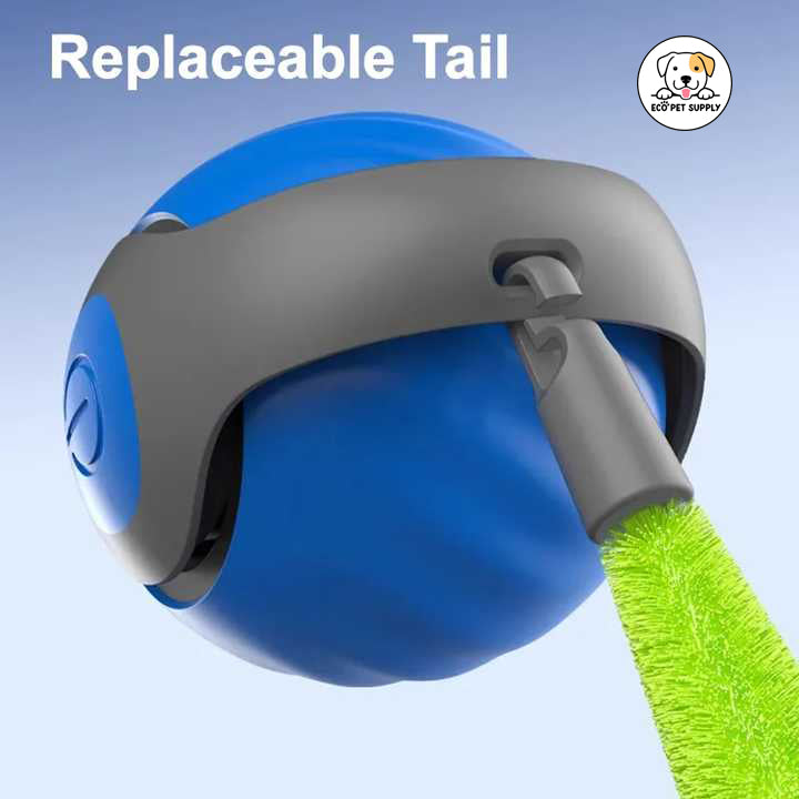 Eco Pet Supply Automatic Moving Ball Puzzle