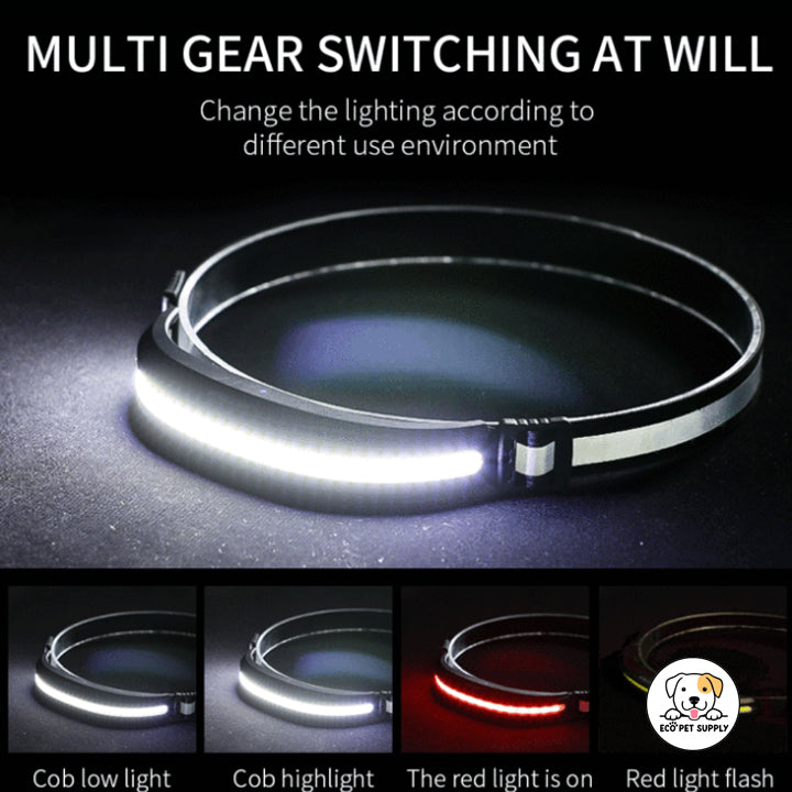 Eco Pet Supply 400-Lumen USB Rechargeable LED Headlamp