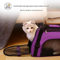 Eco Pet Supply Foldable Pet Carrier Bag