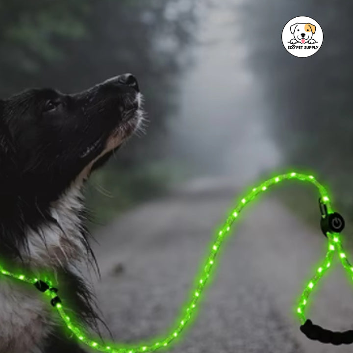 Eco Pet Supply Ultra-Bright LED Retractable Dog Leash – Walk Safely Day & Night with Comfort Grip!