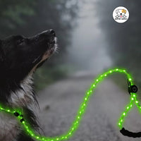Eco Pet Supply Ultra-Bright LED Retractable Dog Leash – Walk Safely Day & Night with Comfort Grip!