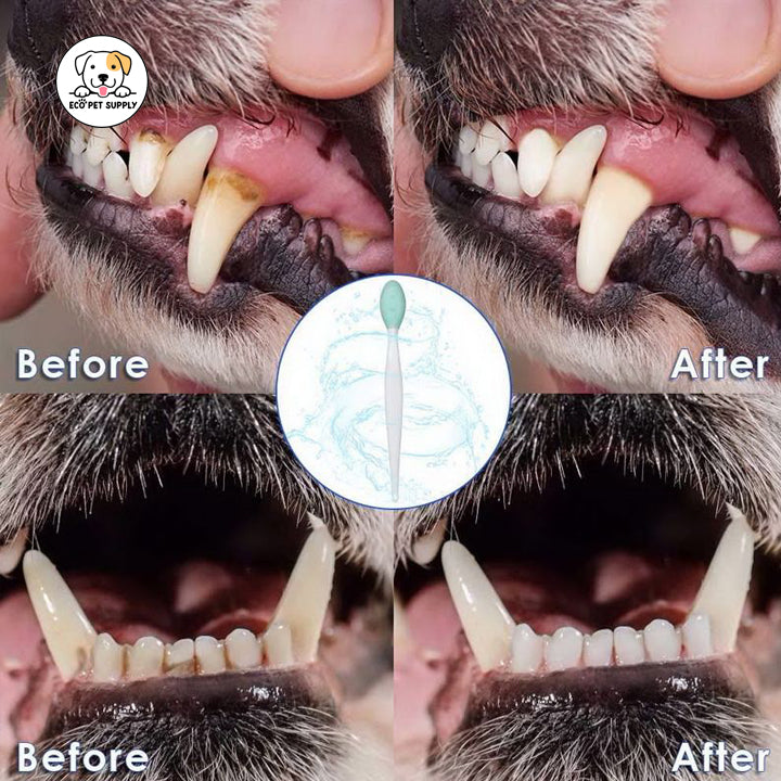 Eco Pet Supply Soft Bristle Toothbrush Home Use Sakura for Sensitive Gums Care