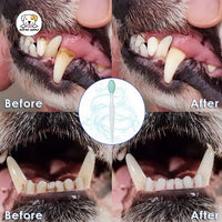 Eco Pet Supply Soft Bristle Toothbrush Home Use Sakura for Sensitive Gums Care