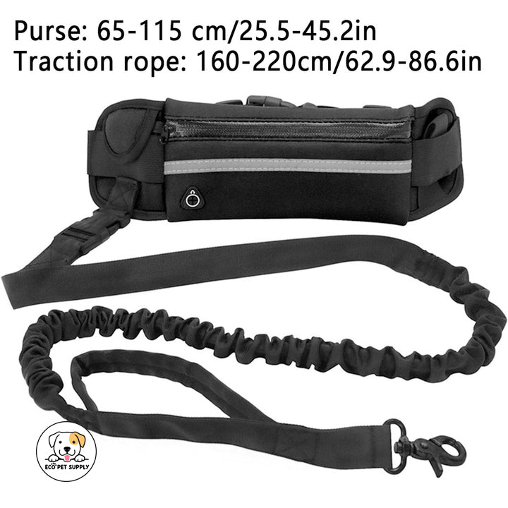 Eco Pet Supply Hands-Free Dog Leash for Running – Adjustable Reflective Waist Belt with Bungee Cord for Jogging, Hiking, and Walking