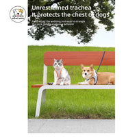 Eco Pet Supply Breathable Pet Dog Vest – Cool Comfort for Warm Days