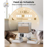 Eco Pet Supply Smart Cat Feeder for 2 Meals