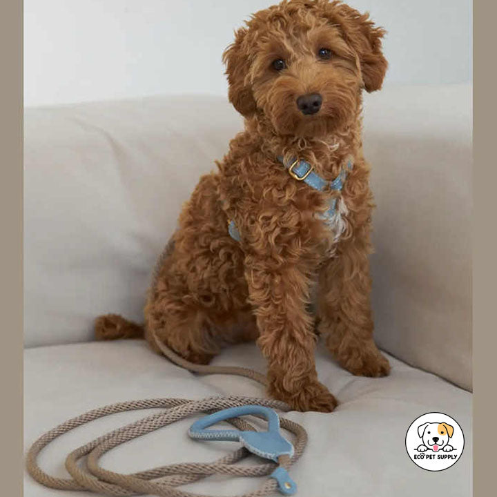 Eco Pet Supply Adjustable Customized Cowhide Dog Collar