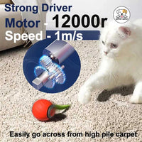 Eco Pet Supply Automatic Moving Ball Puzzle